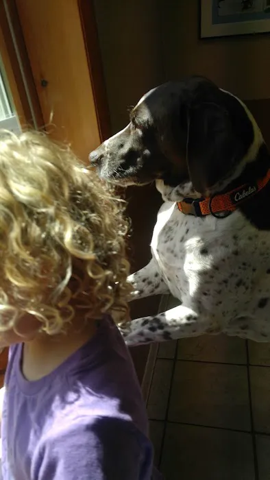 Animal Health Care of Chesaning 4