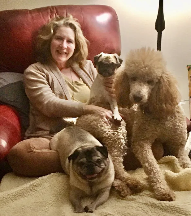 Clinton Veterinary Clinic 12