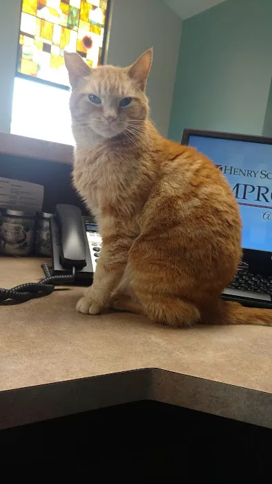 Clinton Veterinary Clinic 12