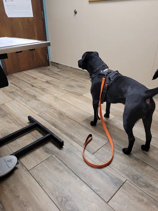 Clinton Veterinary Clinic 12