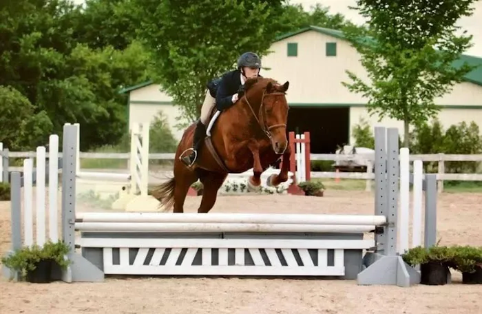 County Line Veterinary Service 12