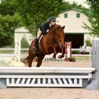 County Line Veterinary Service ico