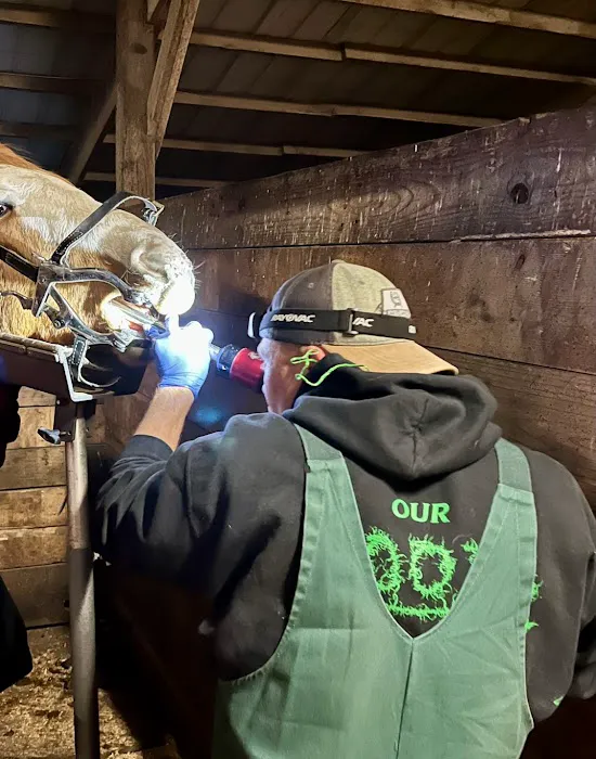 County Line Veterinary Service 12