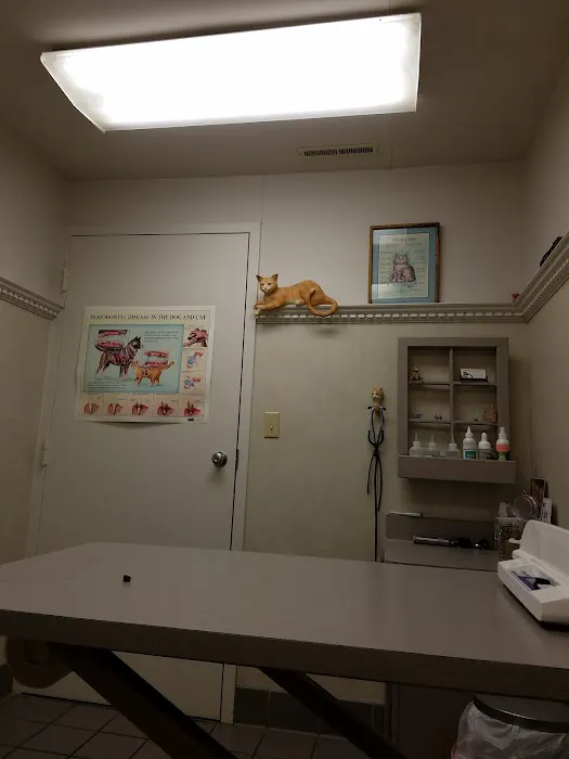 Summit Animal Clinic,llc 12