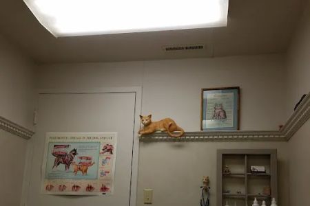 Summit Animal Clinic,llc