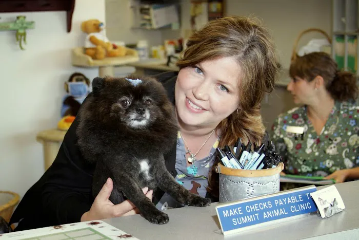 Summit Animal Clinic,llc 12