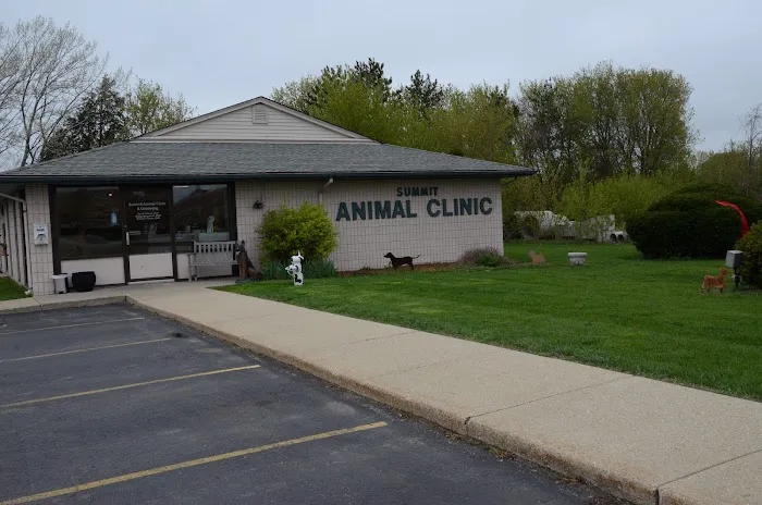 Summit Animal Clinic,llc 12