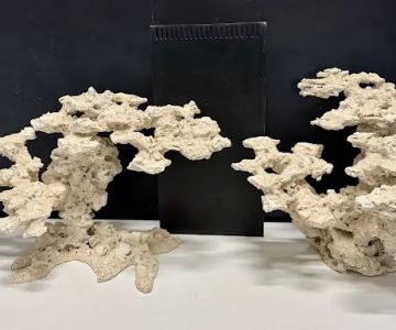 Reef Scape Designs Inc