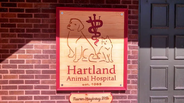 Hartland Animal Hospital: Shaughnessy Maureen DVM 12