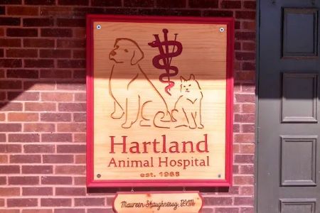 Hartland Animal Hospital: Shaughnessy Maureen DVM