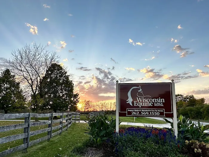 Wisconsin Equine Clinic & Hospital 12