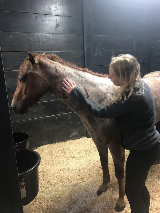 Wisconsin Equine Clinic & Hospital 12