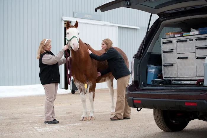 Wisconsin Equine Clinic & Hospital 12