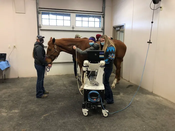 Wisconsin Equine Clinic & Hospital 12