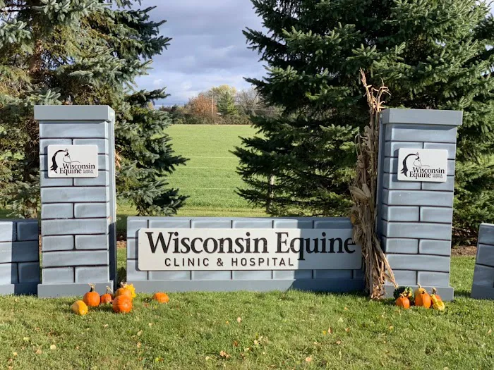 Wisconsin Equine Clinic & Hospital 12