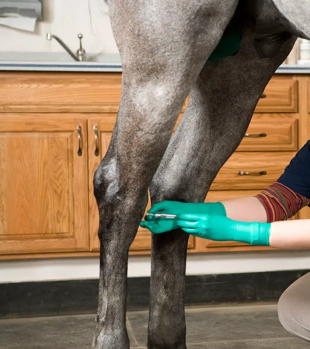 Wisconsin Equine Clinic & Hospital 12