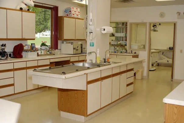 Sullivan Veterinary Service, S.C. 12