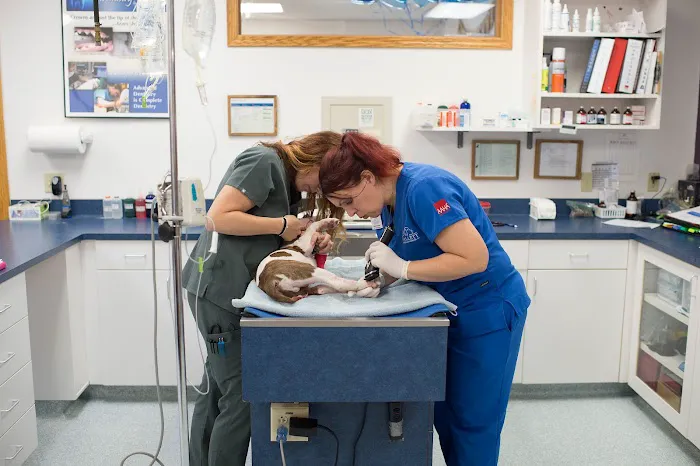 Hallett Veterinary Hospital 15
