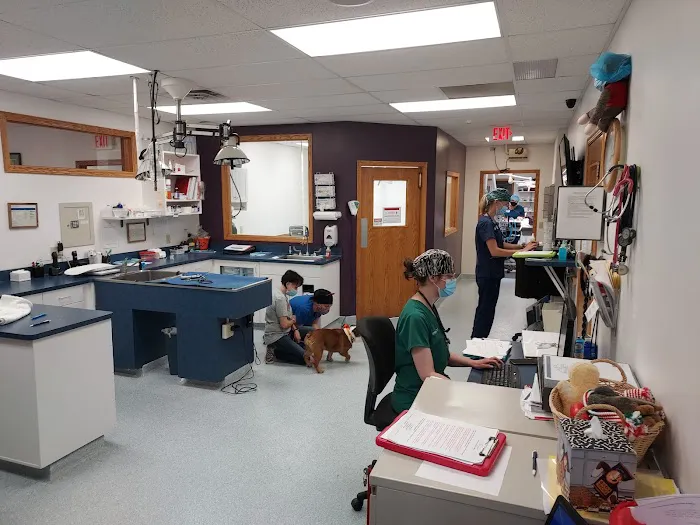 Hallett Veterinary Hospital 13