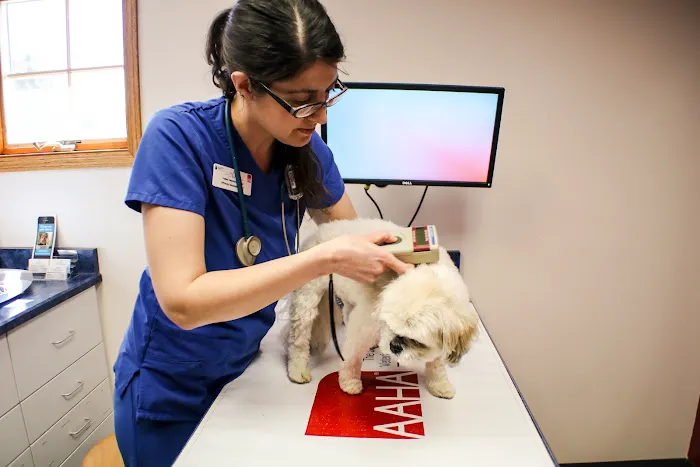 Hallett Veterinary Hospital 11