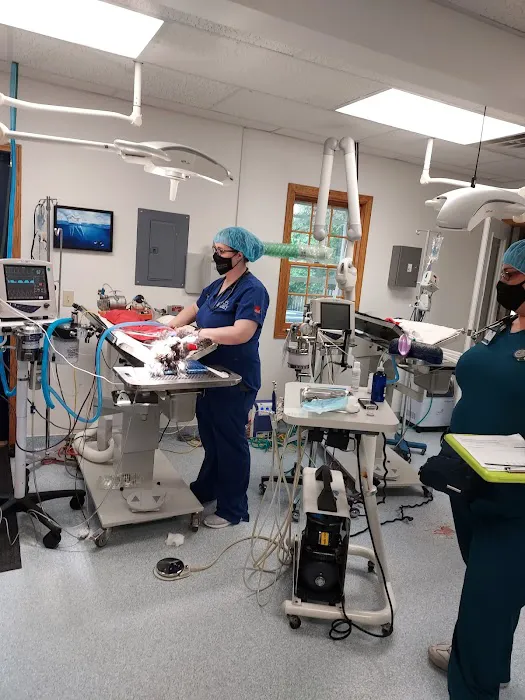 Hallett Veterinary Hospital 17