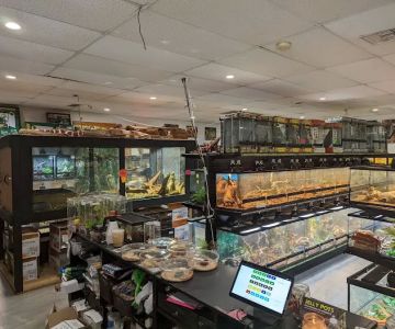 Miami Reptile Company