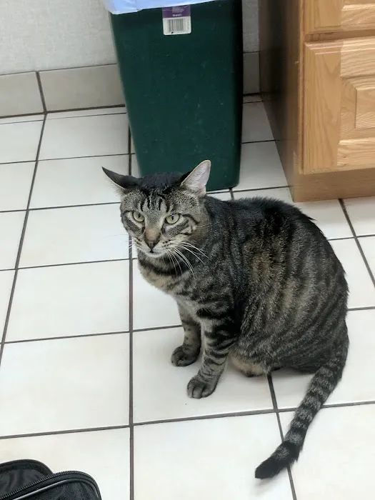 Animal Medical Center 12