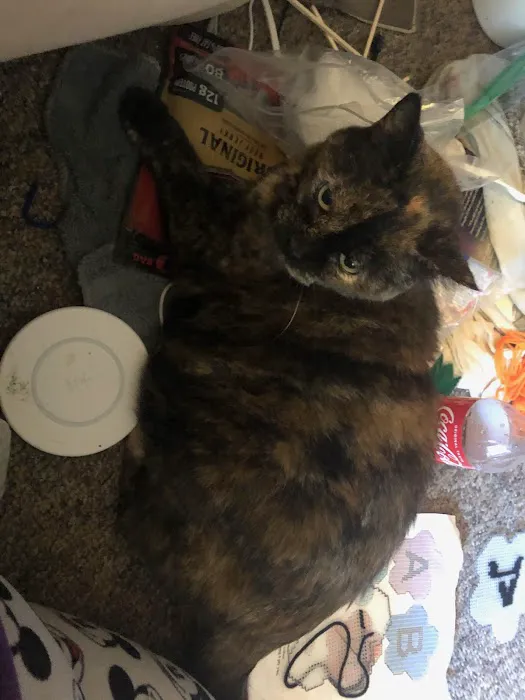 Animal Medical Center 12