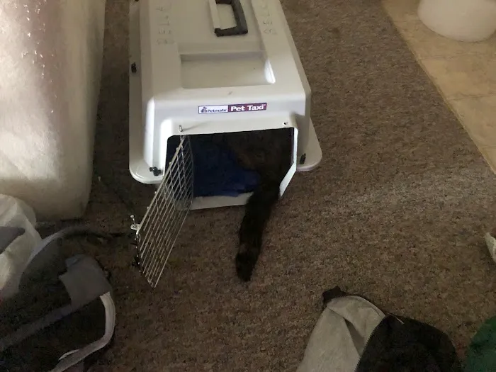 Animal Medical Center 12