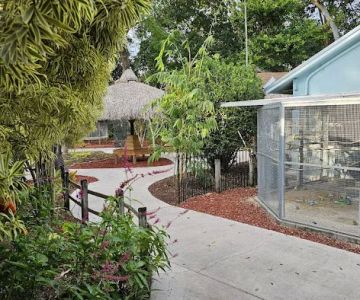 The Aviary Bird Shop