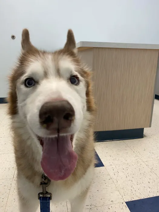 Pet Partners Animal Clinic 12