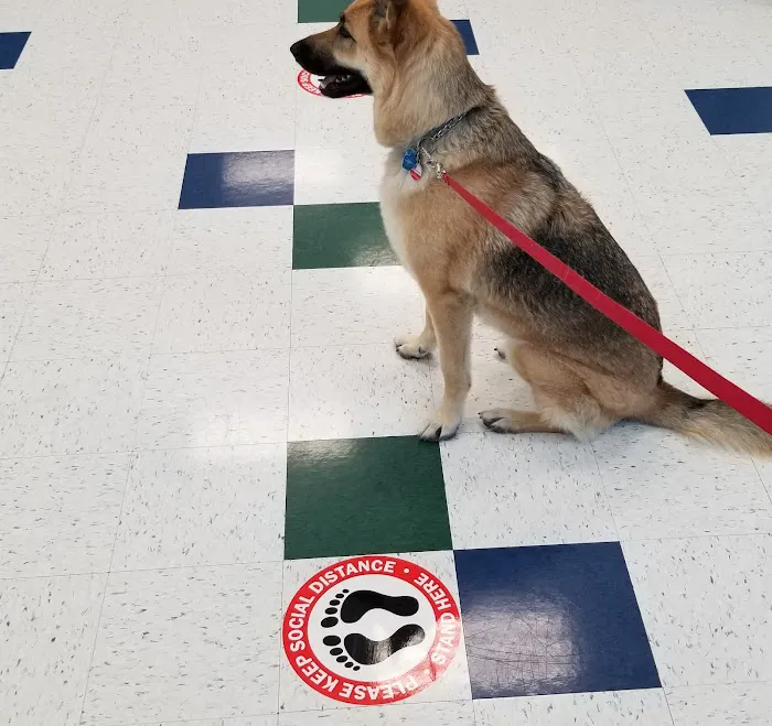 Pet Partners Animal Clinic 12
