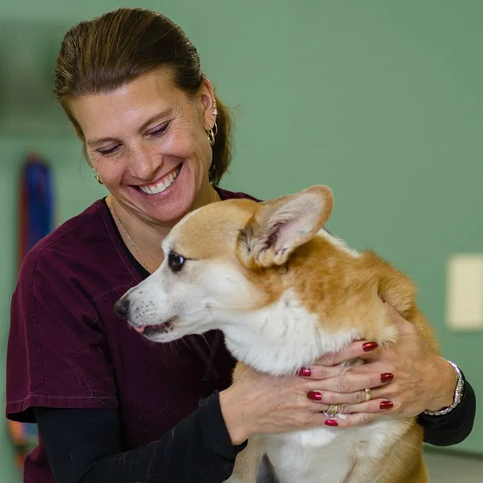Pet Partners Animal Clinic 12