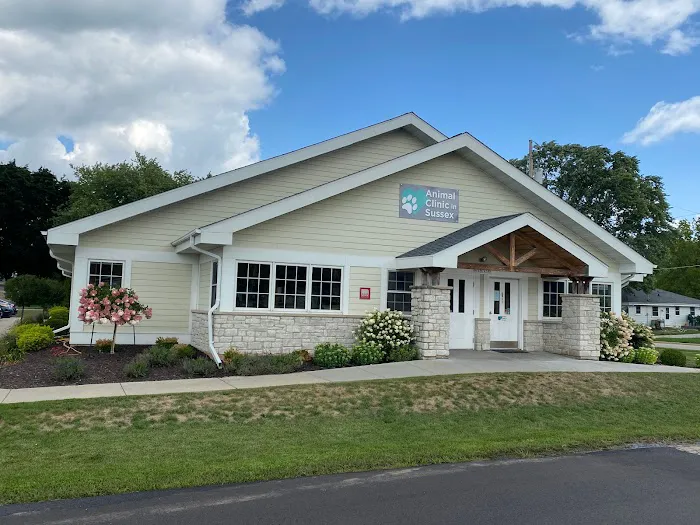 Animal Clinic In Sussex 12