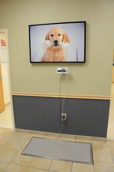 Animal Clinic In Sussex 12