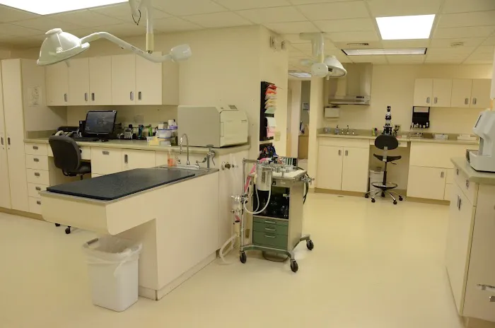 Animal Clinic In Sussex 12