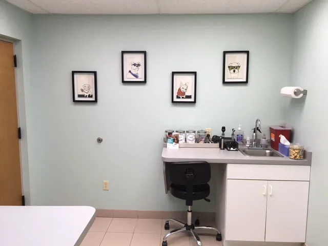 Village Veterinary Care of Merton 12