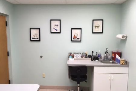 Village Veterinary Care of Merton