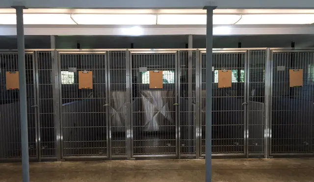 Village Veterinary Care of Merton 12