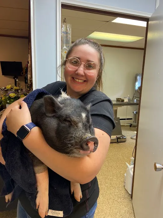 Twin Lakes Pet Clinic 12