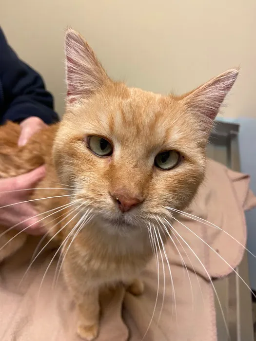 Twin Lakes Pet Clinic 12