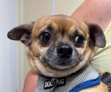 Twin Lakes Pet Clinic