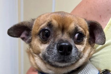 Twin Lakes Pet Clinic