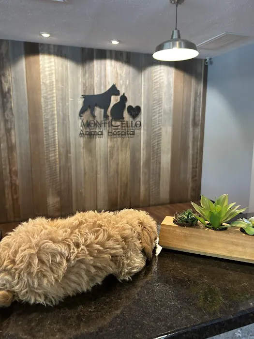 Monticello Animal Hospital 12