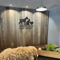 Monticello Animal Hospital ico