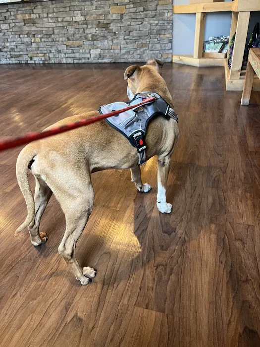 Monticello Animal Hospital 12