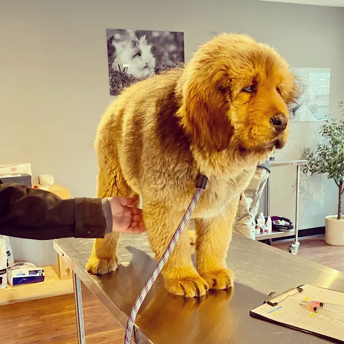 Monticello Animal Hospital 12