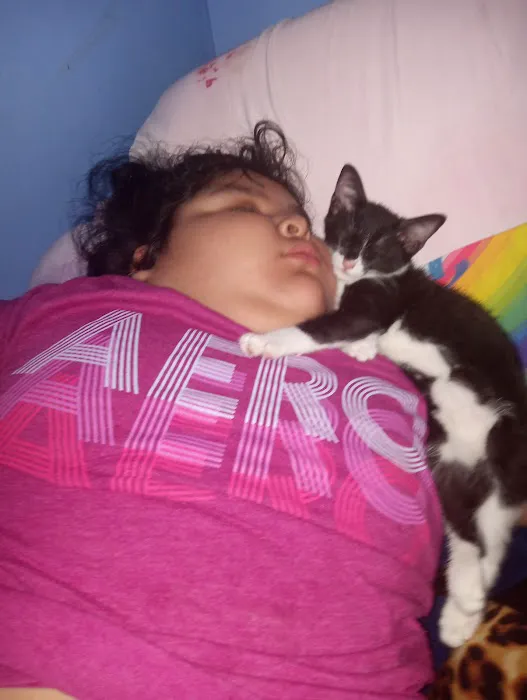 Venta de animales 1