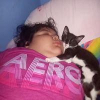 Venta de animales ico