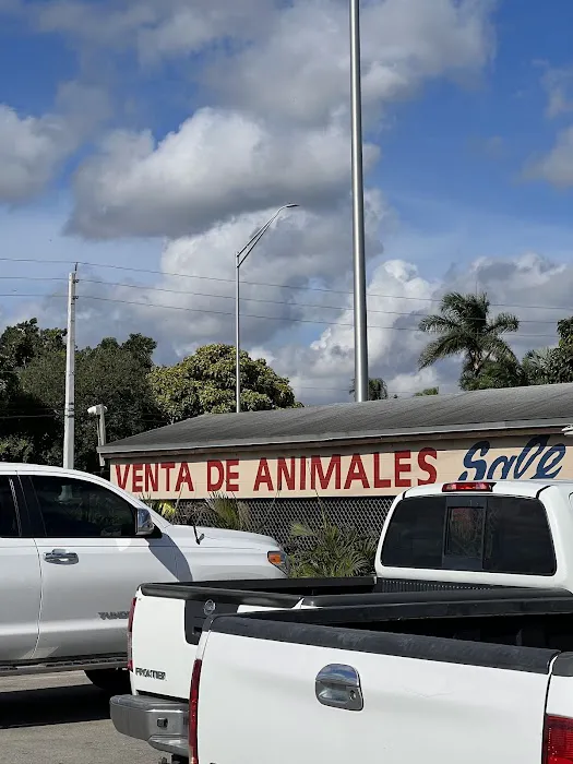 Venta de animales 4